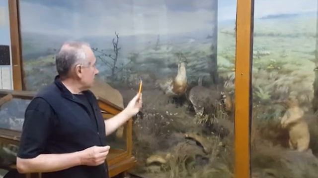 Зоомузей ДНУ. Экскурсия. смотреть онлайн