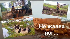 От дома родного до дальней избы. Пеший поход по родным местам. Не жалея ног.