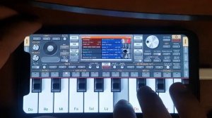 Dolya Vorovskaya Org 2023 Tutorial