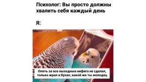 Свежие Мемы от Кабанчика 86 | Озвучка Мемов