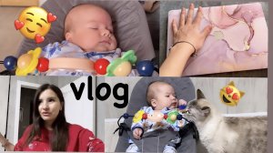 КАК МЫ РАСПРЕДЕЛЯЕМ СЕМЕЙНЫЙ БЮДЖЕТ//ВЛОГ