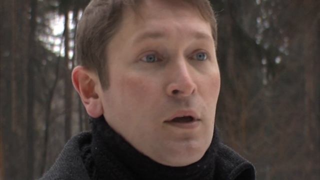 Вырубка деревьев в парке Кирова, Ижевск