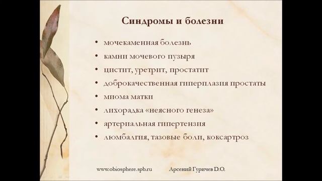 Проблемы здоровья пожилых. Клинические аспекты. Остеопат Арсений Гуричев смотреть онлайн
