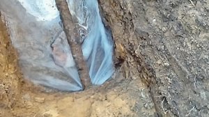 Как у нас водопроводную трубу прорвало.mp4