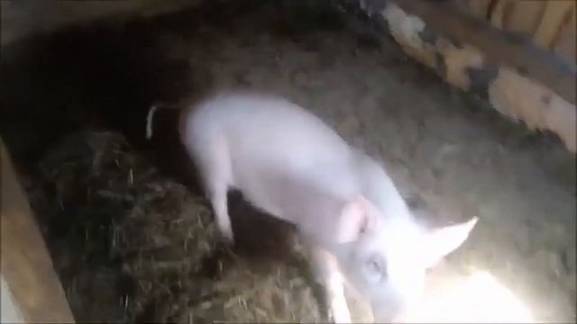 Окунёмся в прошлое. Вспомним, как было раньше. смотреть онлайн