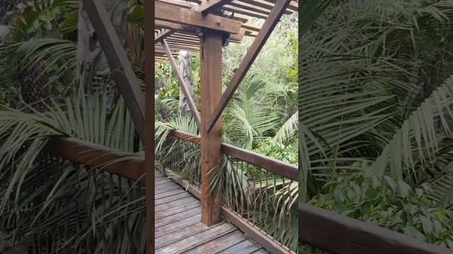 56 Jungle bridge Palma Aquarium 2022