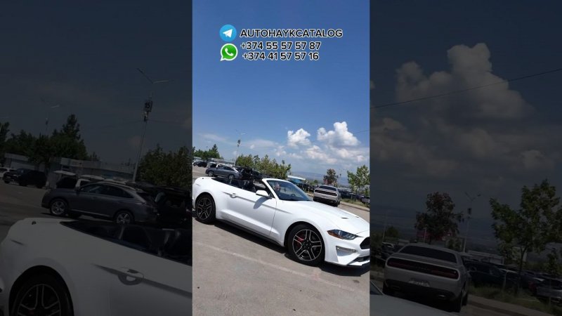 Ford Mustang  или москвич ??? #автоизсша #автоизгрузии ￼