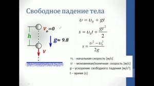 Физика. Объяснение темы "Свободное падение тел и движение тел, брошенных вертикально вверх"