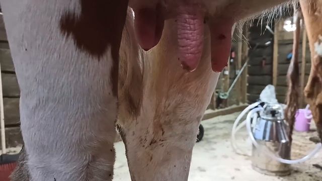 СРЕДСТВО ОТ БОРОДАВОК И ПАПИЛЛОМ! ПРОВЕРЕННО! ПОМОГАЕТ! смотреть онлайн