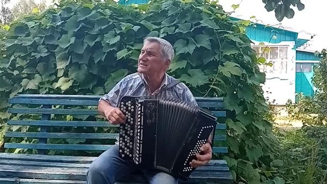 берега берега исполнение любительское баян смотреть онлайн