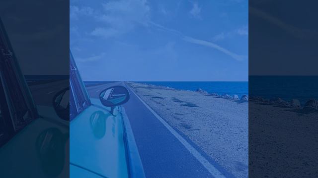 Чувство (Легковые автомобили) смотреть онлайн