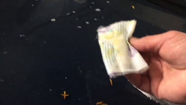 Как убрать тополиную смолу и почки смотреть онлайн