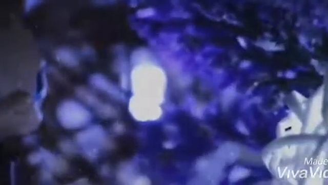 для LPS Sanches отрывки?? смотреть онлайн