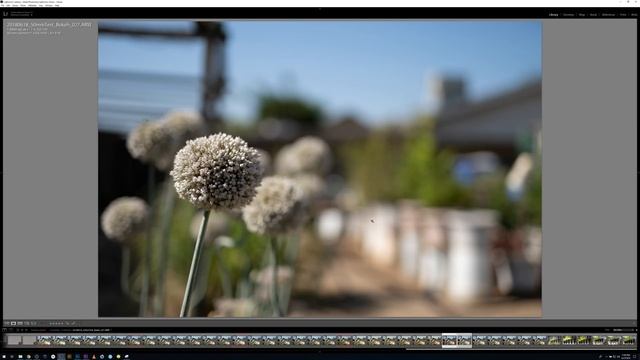 Which 50mm Lens Should You Buy for Sony Full Frame? Buying Guide 2018 смотреть онлайн