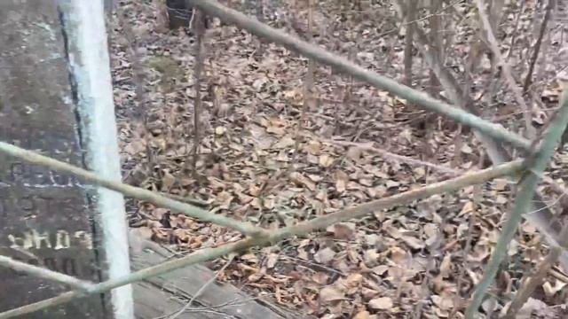 Заброшенное старое кладбище изчезающие могилы