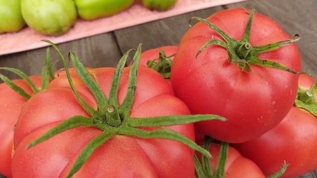 Обзор! Вкусный и крупный, мясистый, сладкий. Биф-томат розовый с хорошим вкусом. Вас не подведёт!