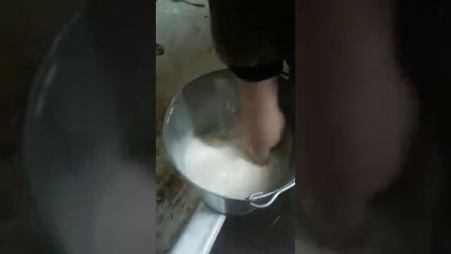 ЗЦМ Биолактис Премиум, отлично для молодняка смотреть онлайн