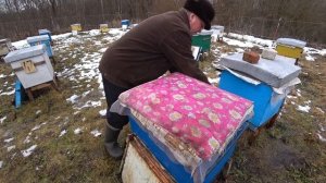 Мои способы подкормки пчёл ранней весной.