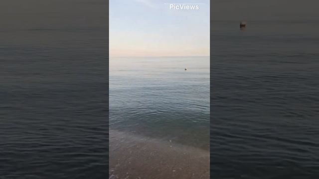 Голубицкая. Азовское море. Пересыпь. Обстановка на пляже море и погода сегодня 20 октября 2023
