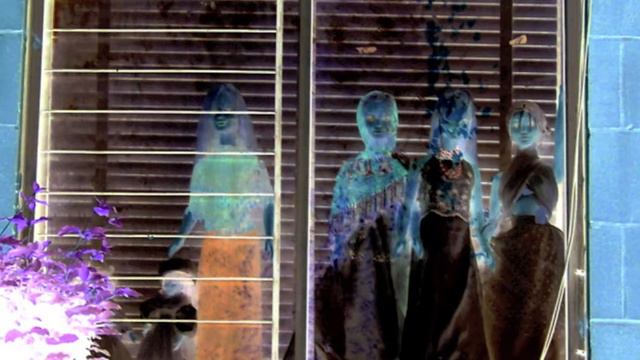 The Cold Hand of Culture - Don DeLillo смотреть онлайн