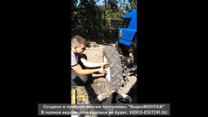 заміна сальників переднього моста трактора донфенг 244   19 09. 2018