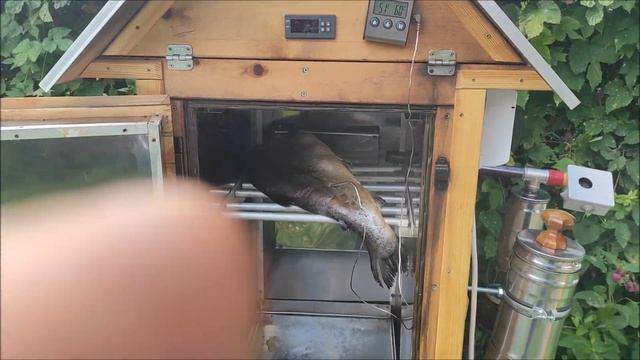 Рыба горячего копчения Кижуч копчёный