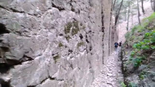 ДЖАНХОТ ПРАСКОВЕЕВКА