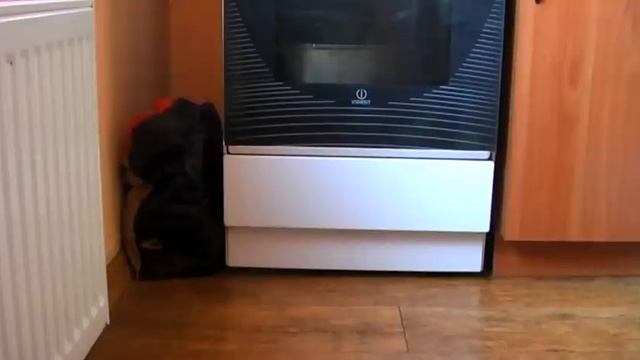 Хорек Боссерт.Я здесь хозяин !!! смотреть онлайн