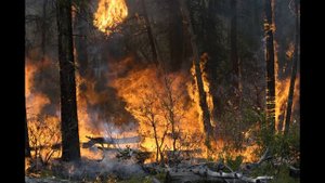 Видеоролик Лесной пожар 25 04 2020