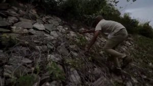 Сиреноголовый монстр против Человека.