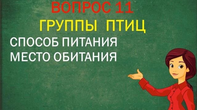 ОКРУЖАЮЩИЙ МИР  ПОВТОРЕНИЕ