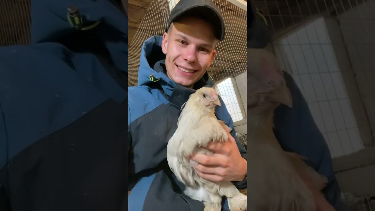 Мы с Тамарой-Курочкой всегда парой смотреть онлайн