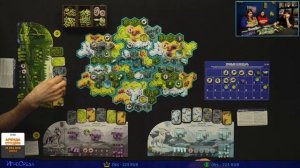 Играем в настольную игру Волки