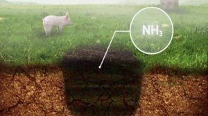 как получали селитру раньше