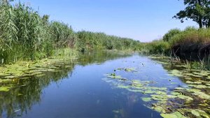 Река Битюг 2020