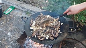 ПЕЧЕНЬ ГОВЯЖЬЯ НА САДЖЕ НА КОСТРЕ ПАЛЬЧИКИ ОБЛИЖЕШЬ.