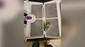 Сушильная машина Schaub Lorenz SLR F2721