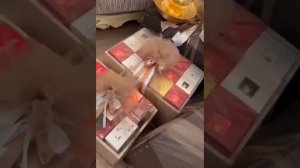 Карачаевская свадьба Амирлан и Фатима (оформление приданного)