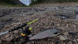 Вечер, шум воды и рыбалка. Незапланированный выезд на реку.