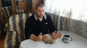 Прививки кроликам, какие делают?