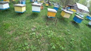 Делаем ОДНОРАМОЧНЫЕ ОТВОДКИ! Заселение ШЕСТИРАМОЧНИКОВ