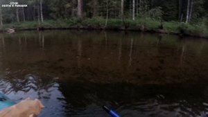 Крупный хариус на удочку. Загнул удочку в дугу.Лучшая рыбалка на хариуса.Уха на костре,с потрашками