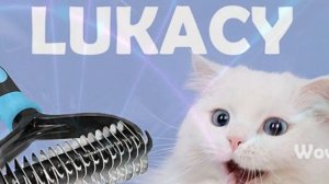 Профессиональная чесалка для кошек и собак с Алиэкспресс.