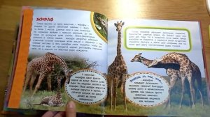Животные Африки. Самая первая энциклопедия