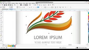 how to make Rice Packaging Design Using Coreldraw X7 / ahsan sabri