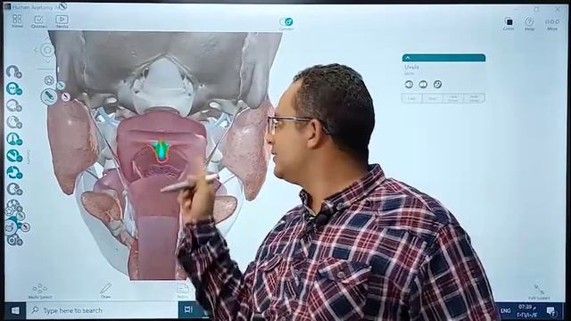 GIT 5 (BFOM) Soft Palate 2 смотреть онлайн