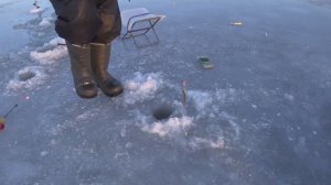 ЛОВЛЯ  КОРЮШКИ НА ФИНСКОМ ЗАЛИВЕ \ ЯНВАРЬ 2023 Г