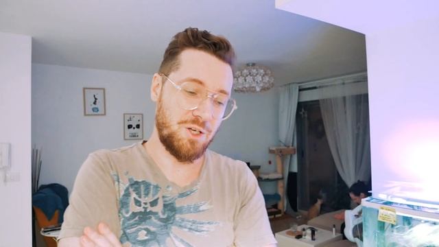 Вся правда про рестораны в Израиле! Отвечаю на комменты.