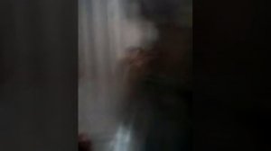 Видео урок стойка на руках у стены