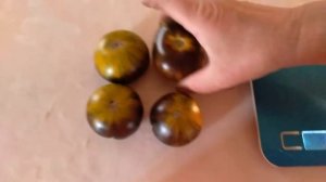 Сорт эксклюзивного томата- Хенеди зелёная богиня.